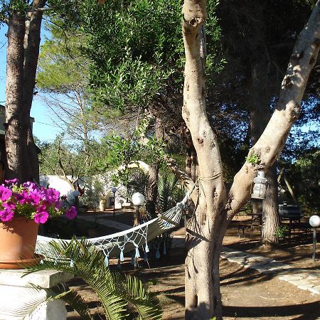Breezes B&B Конка Спекюла Екстериор снимка