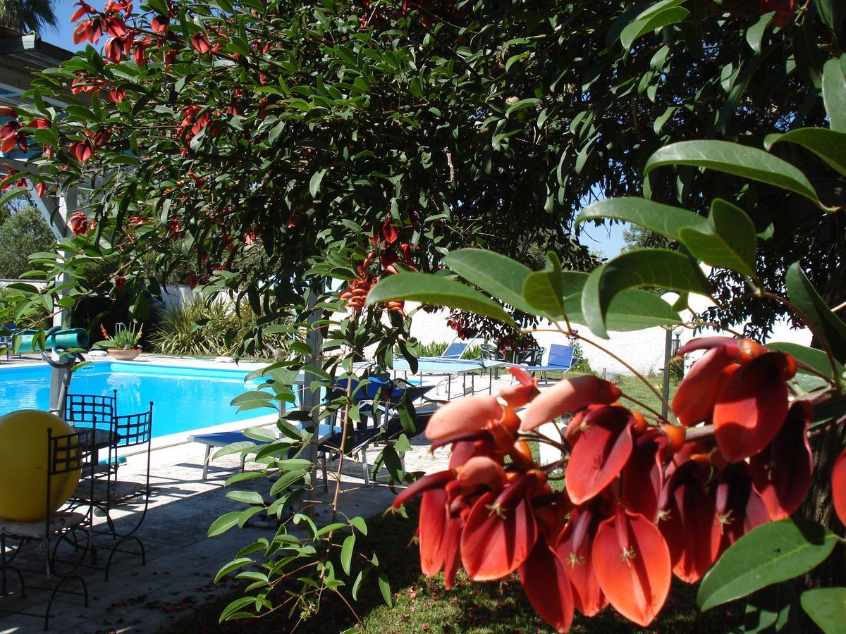 Breezes B&B Конка Спекюла Екстериор снимка